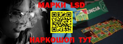 гидропоника Будённовск