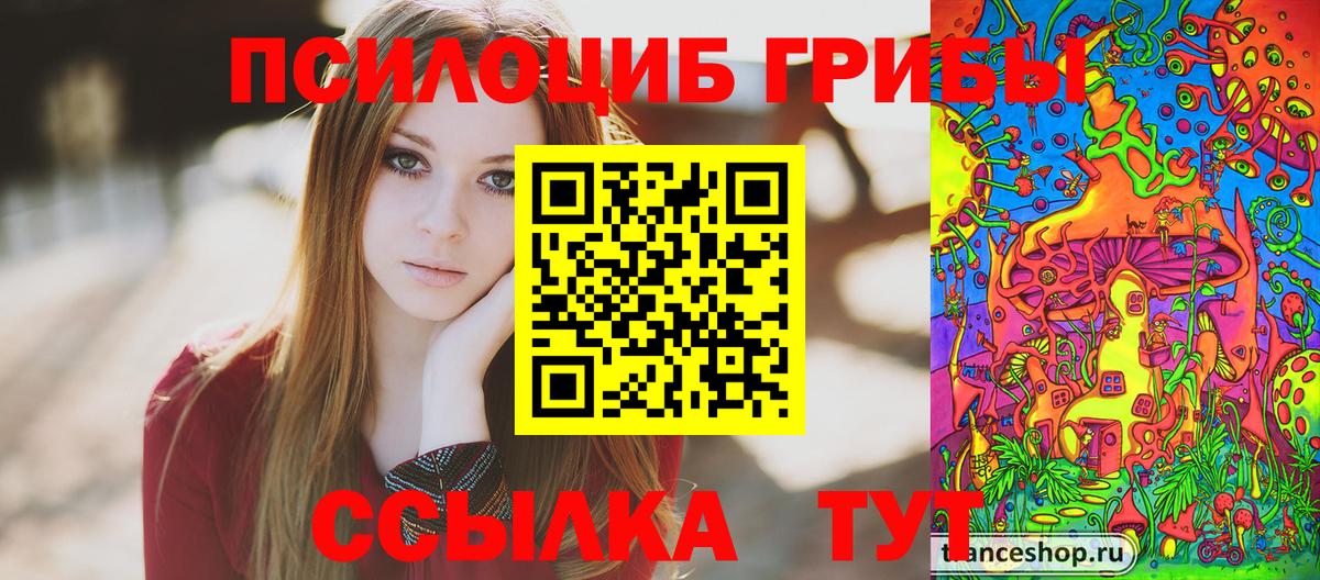 Псилоцибиновые грибы Cubensis Челябинск