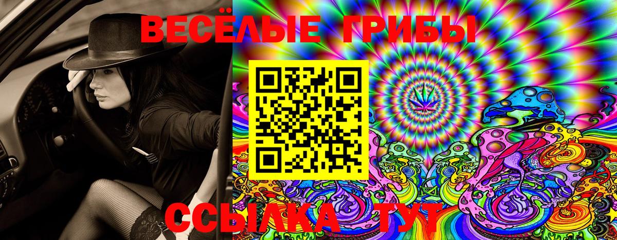 Галлюциногенные грибы Psilocybine cubensis  Галлюциногенные грибы GOLDEN TEACHER  Вход с VPN  Челябинск 